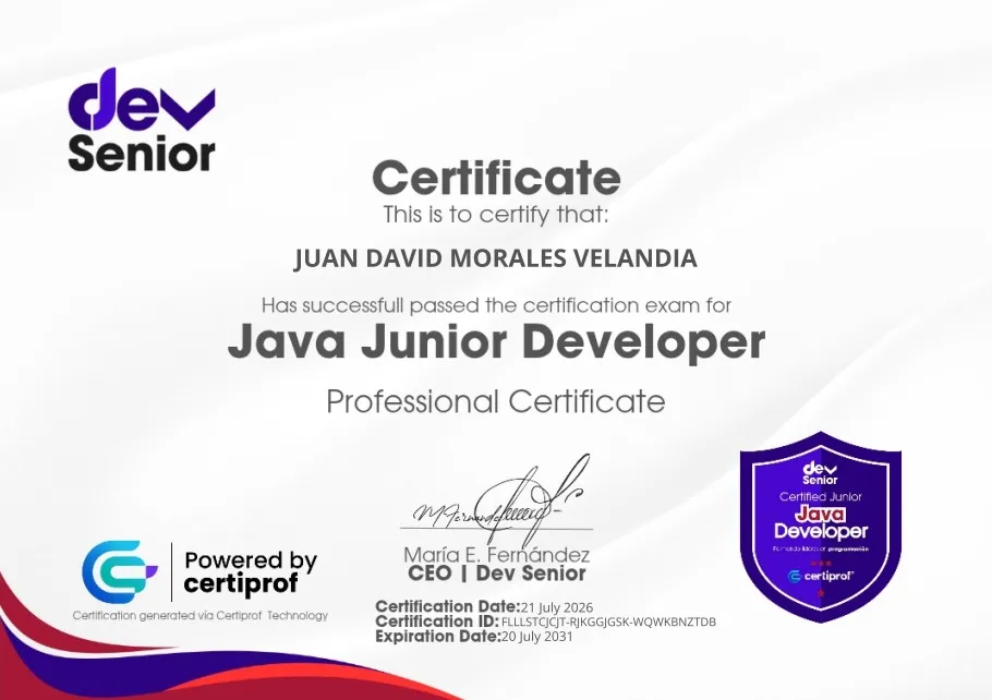 Java Junior Developer Professional Certificate